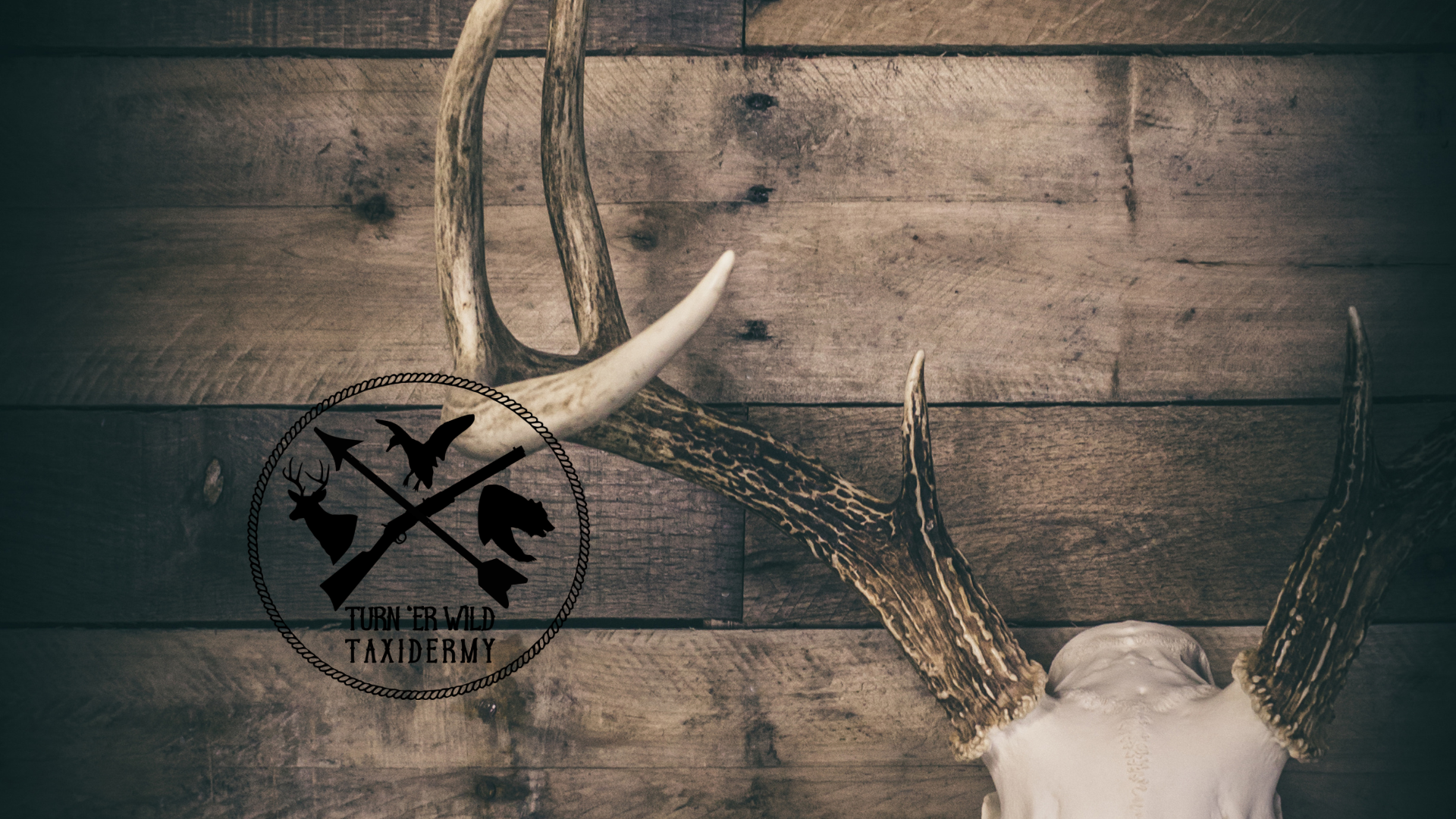 Deer Skull Maceration: The Wild Way to Preserve Your Trophy