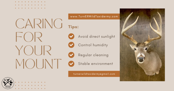 Caring for your mount includes ensuring the eyes are protected.