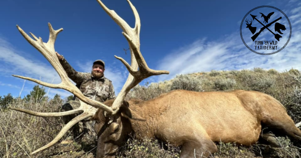 Hunting elk isn't for the feint of heart. Be ready for a workout! Just ask Dawson and his Dad!
