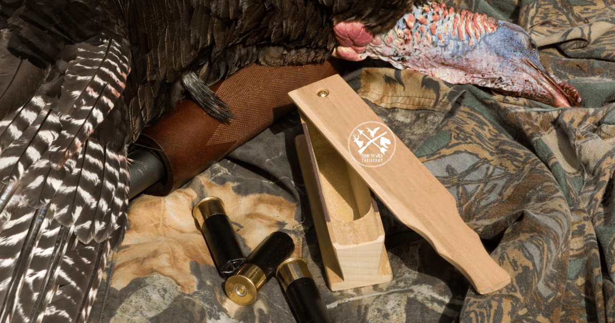 Four Wildly Fun Ways to Mount a Turkey