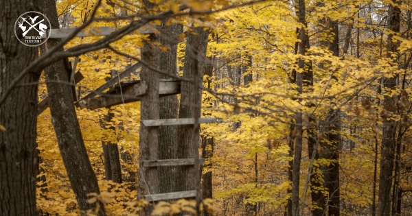 Tree Stand Safety...check, check and double check!